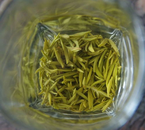 踔厲奮發(fā)二十載,雅山雅水變 茶海 寫在 世界茶文化蒙頂山宣言 發(fā)布20周年之際