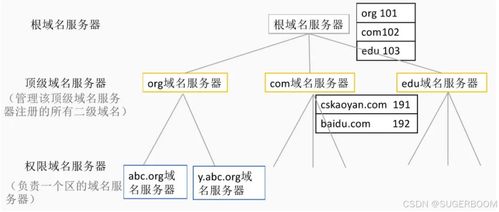 服務基礎第一階段第六節(jié) Windows系統(tǒng)管理基礎——DNS部署與安全，助力信息系統(tǒng)運行維護服務